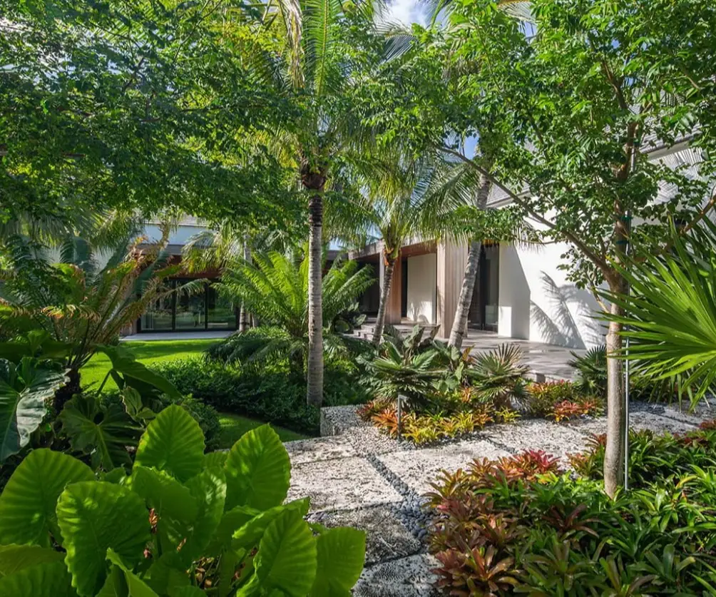 Gravel path winding through a lush garden of palms and broad-leaved plants beside a modern house