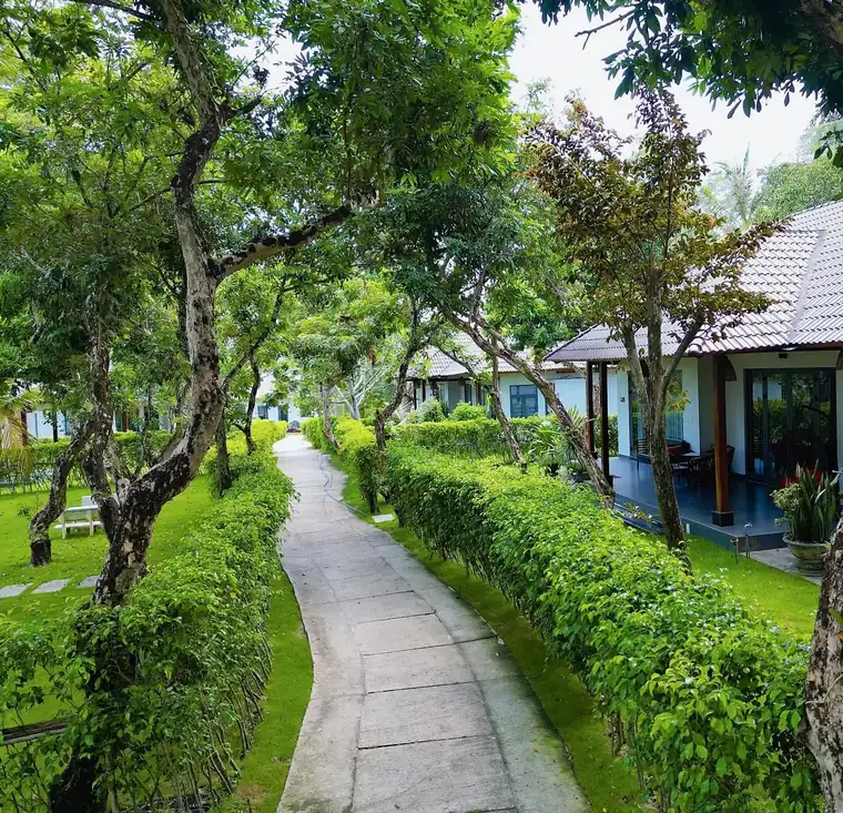 Paved garden path between clipped hedges leading to a tile-roofed house