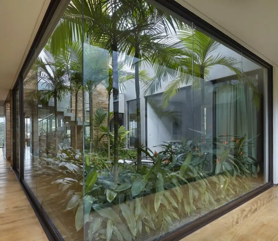 Glass wall looking into an indoor courtyard planted with palms and ferns