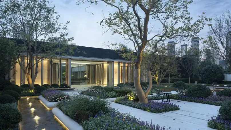 Courtyard garden at dusk with a sculptural tree, low lit planting beds and a pale paved path