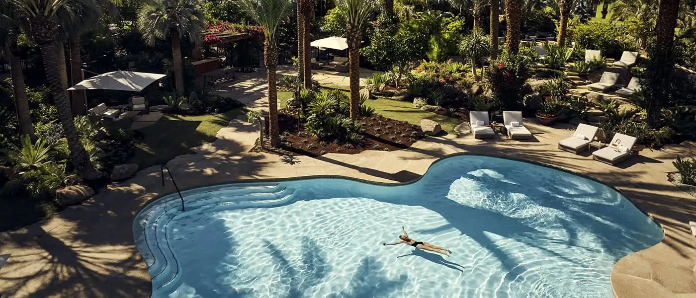 Aerial view of a curved pool in a shaded garden with loungers and palm trees